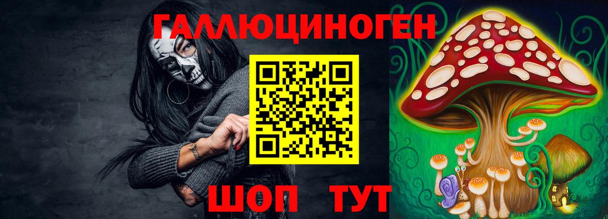 Псилоцибиновые грибы GOLDEN TEACHER  Вход с VPN  магазин    Новосибирск 